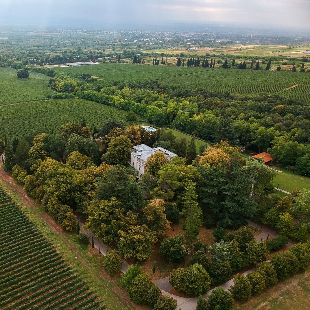 Vazisubani Estate, Gurjaani Municipality, Georgia