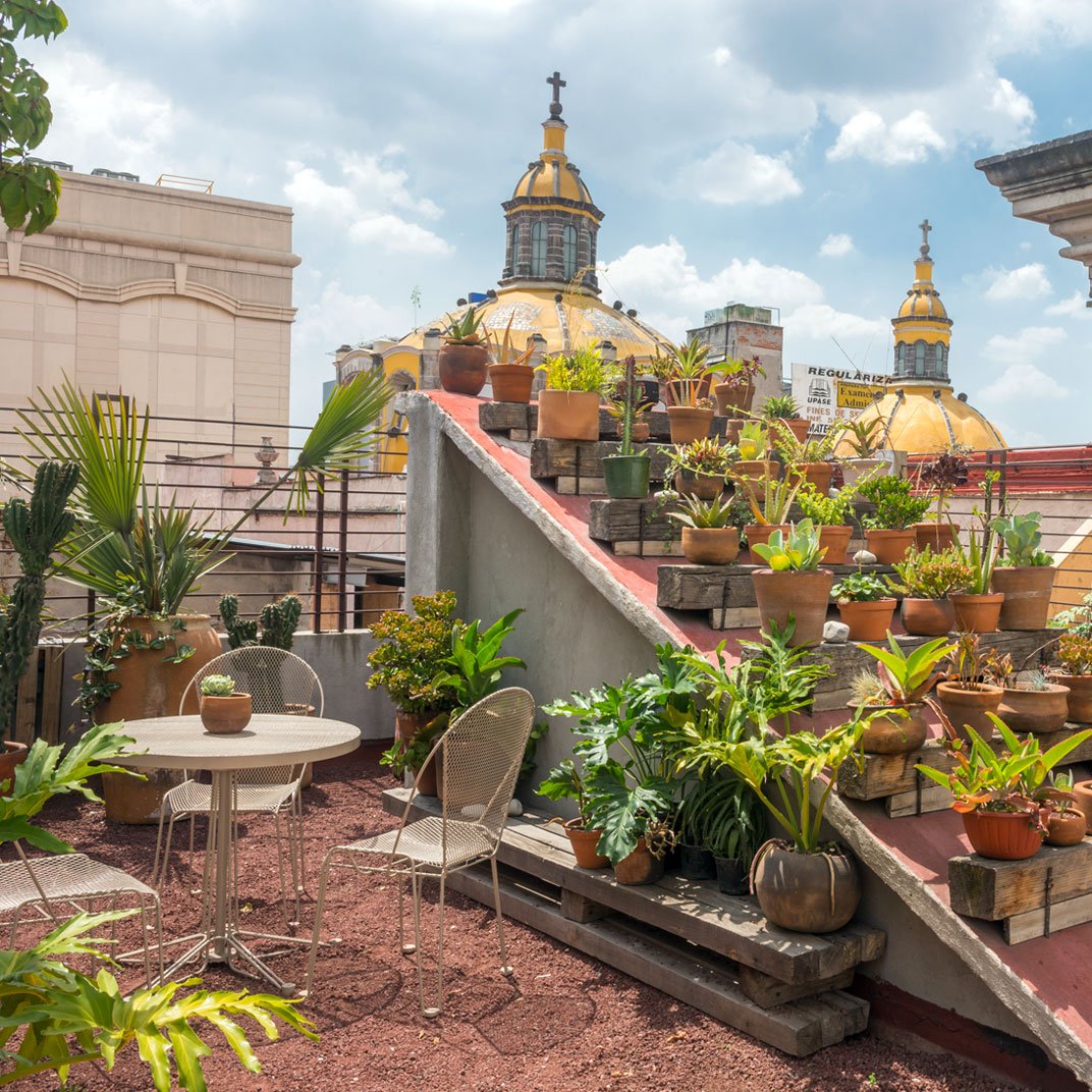 Chaya B & B Boutique hotel in Mexico City, Mexico