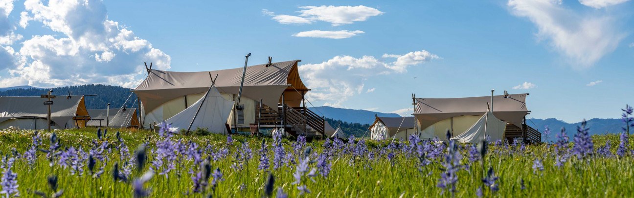 Under Canvas West Yellowstone