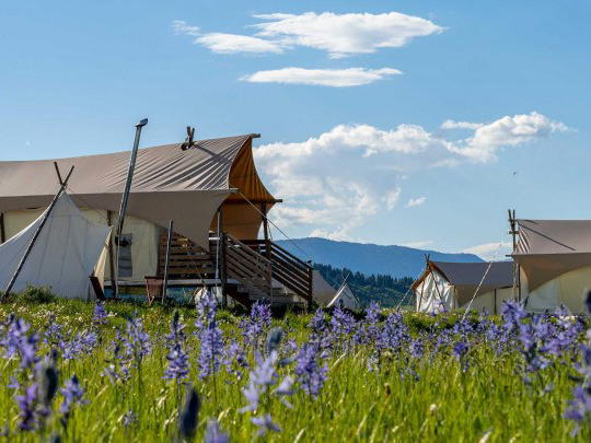 Under Canvas West Yellowstone, West Yellowstone, United States