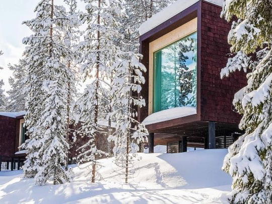 Arctic TreeHouse Hotel, Rovaniemi, Finland