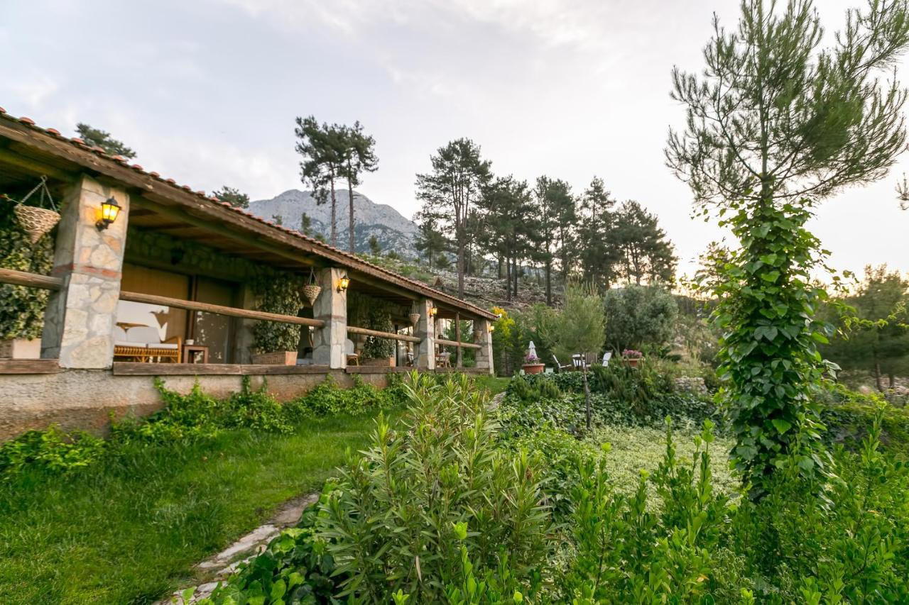 Olympos Mountain Lodge, Kemer, Turkey