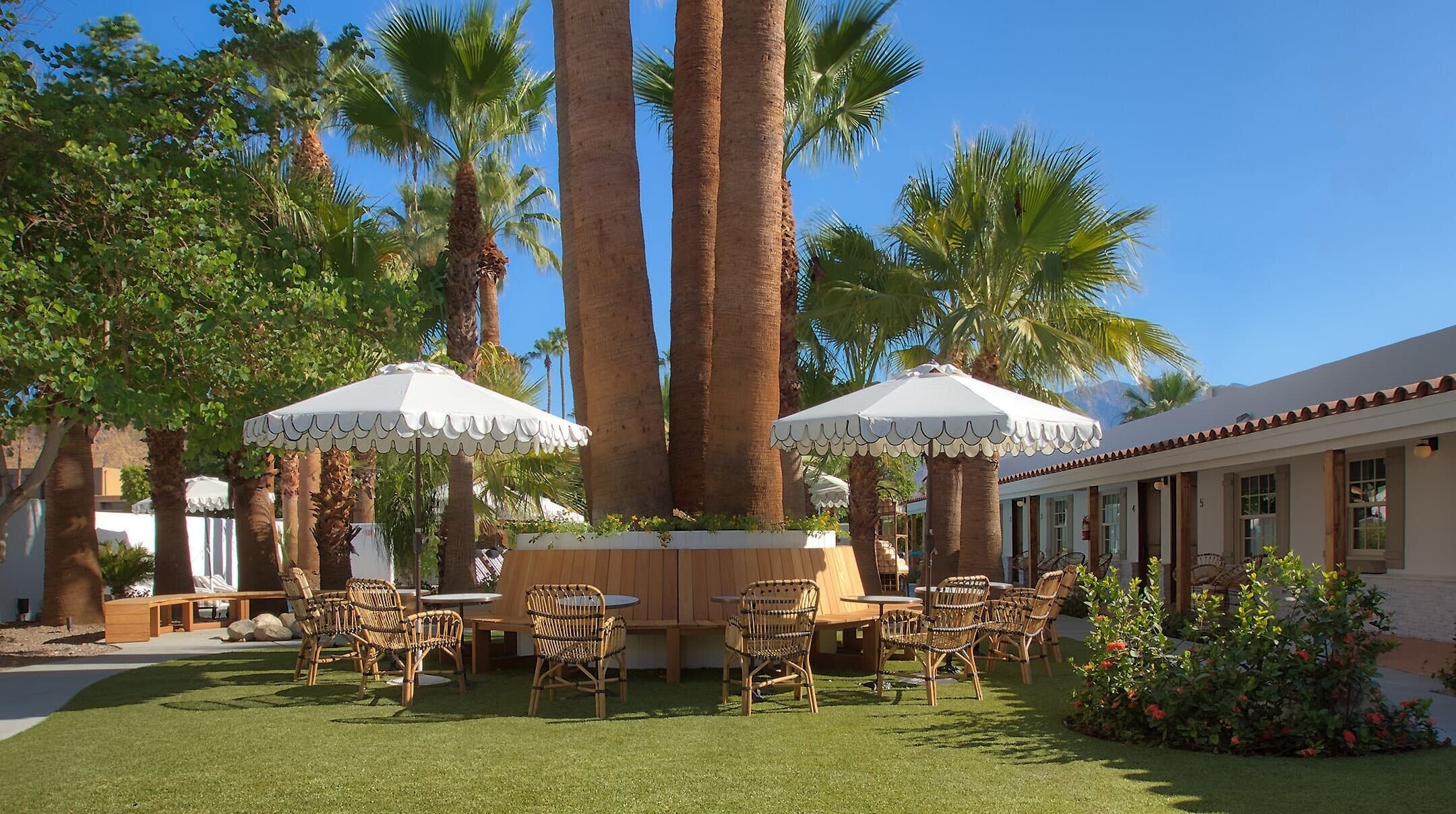 Dive Palm Springs