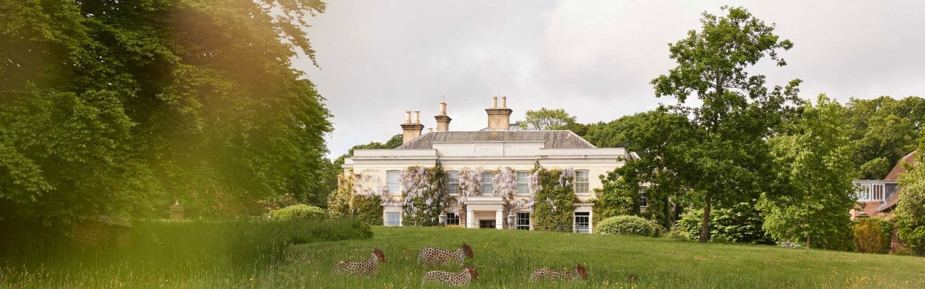 Lime Wood, Lyndhurst, United Kingdom