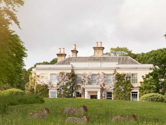 Lime Wood, Lyndhurst, United Kingdom