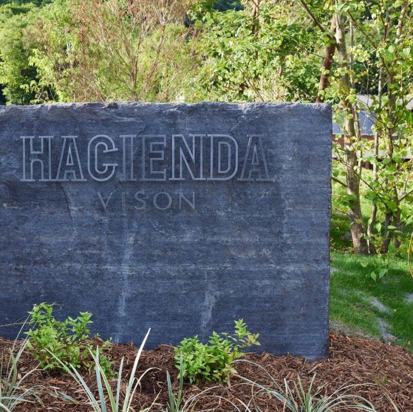 Hacienda Vison Hotel, Hotel in Odaicho