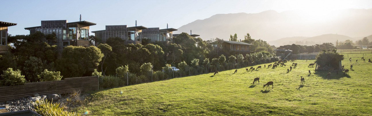 Hapuku Lodge + Tree Houses, Kaikoura, New Zealand