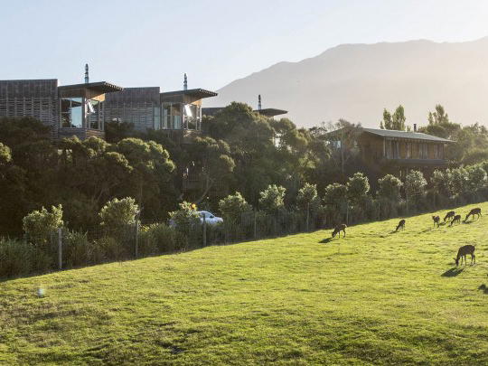 Hapuku Lodge + Tree Houses, Kaikoura, New Zealand