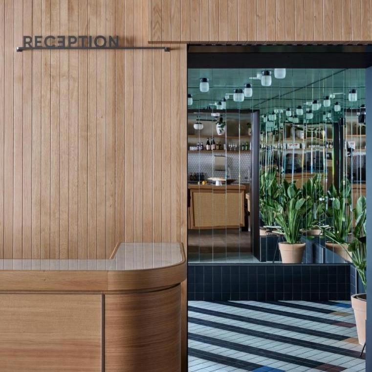 Schwan Locke, Munich, Munich, Germany