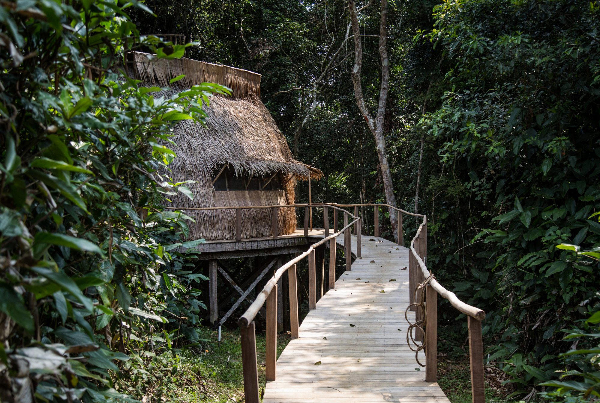 Kamba Ngaga Lodge, Mbomo, Republic of the Congo