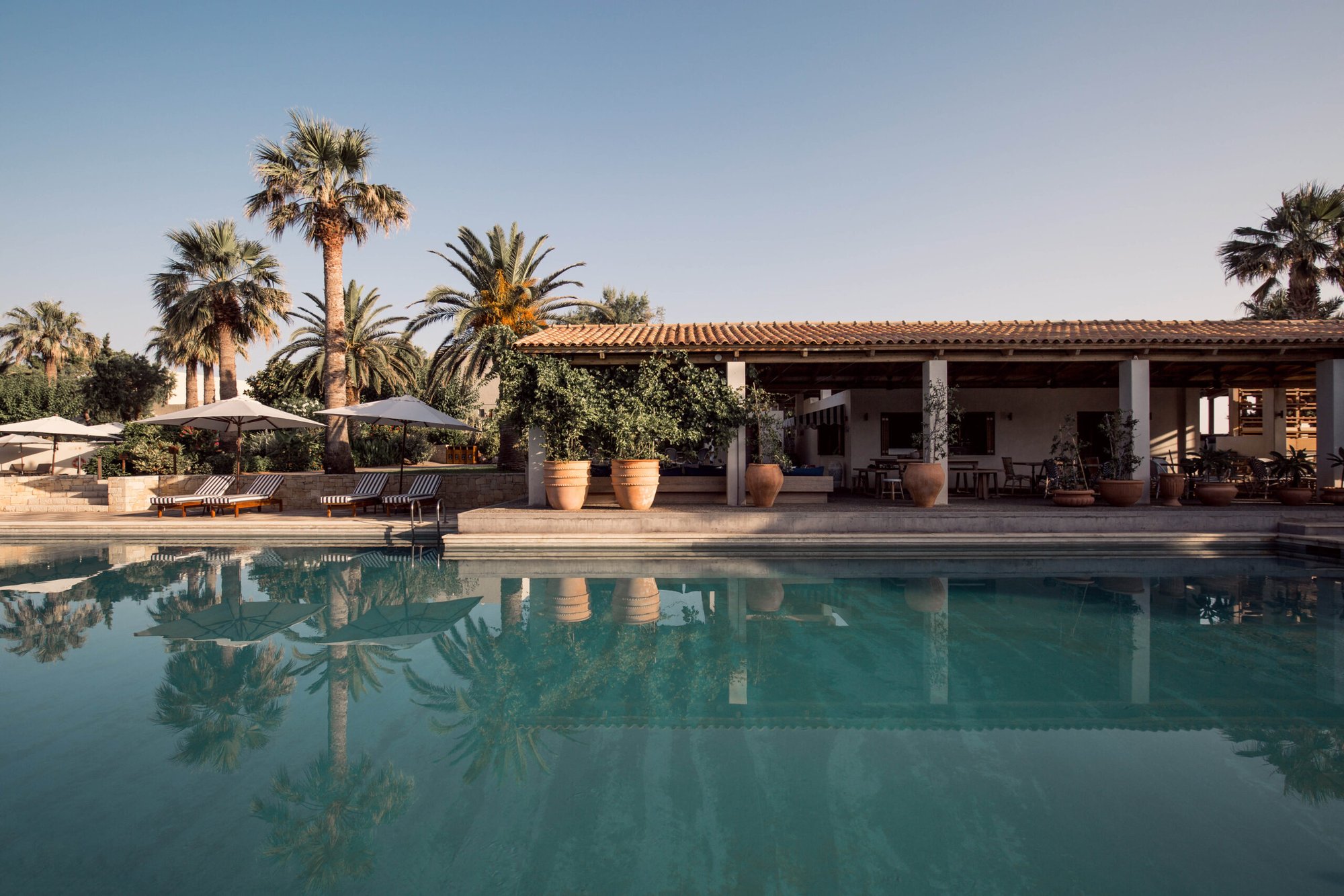 Phāea Cretan Malia hotel in Crete, Greece