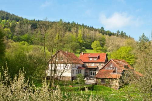 Romantik Hotel Landhaus Bärenmühle, Hotel in Frankenau