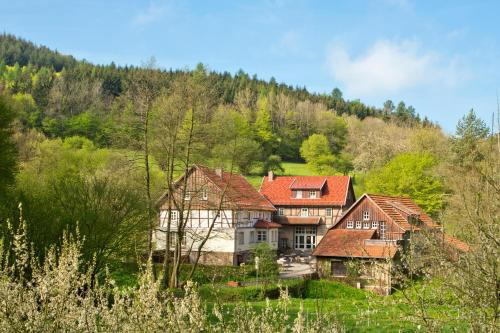 Romantik Hotel Landhaus Bärenmühle, Frankenau, Germany