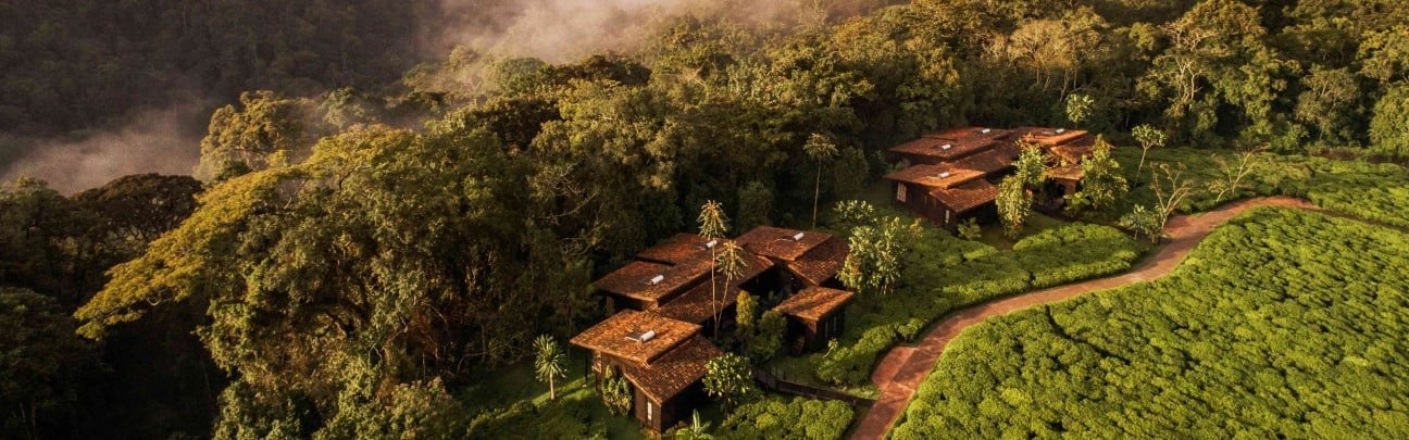 One&Only Nyungwe House, Gisakura, Rwanda