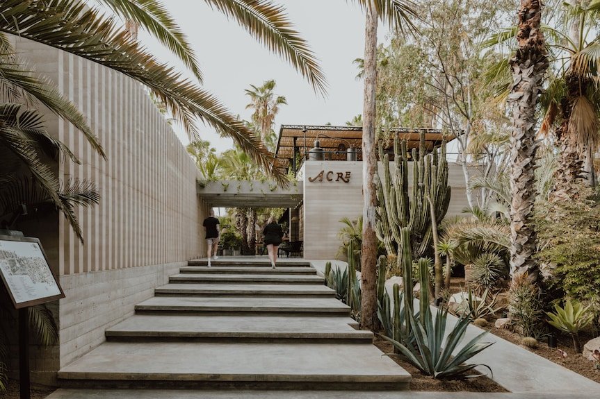 Acre Resort hotel in Los Cabos, Mexico
