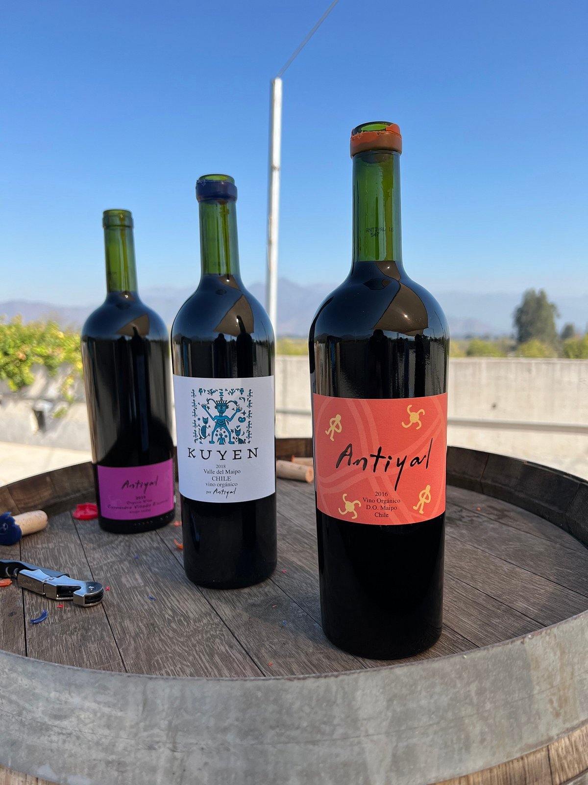 Viña Antiyal hotel in Huelquen, Chile