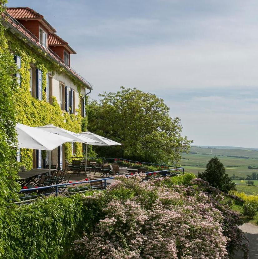 Hofgut Wißberg - Das Weinberghotel, Hotel in St Johann