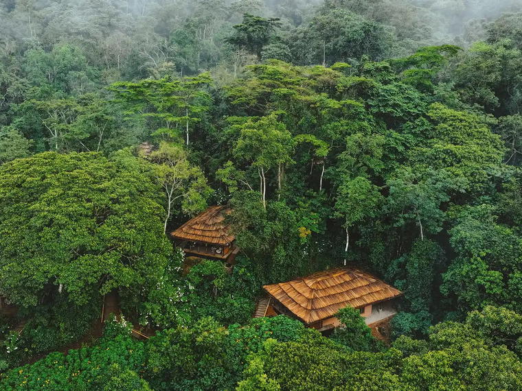 Gorilla Forest Lodge, an A&K Sanctuary, Bwindi Impenetrable Forest, Uganda