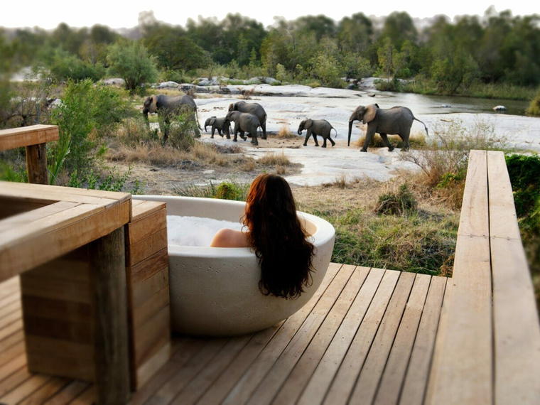 Londolozi Game Reserve, Kruger National Park, South Africa