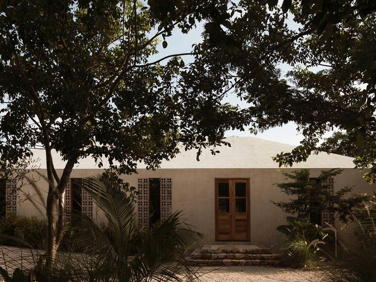 Galopina, Mérida, Mexico