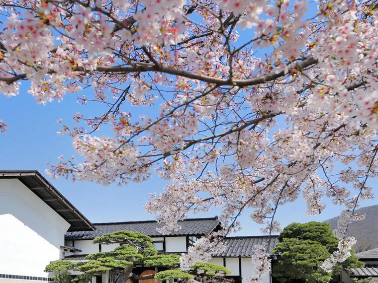 Tendoso, Tendo, Japan