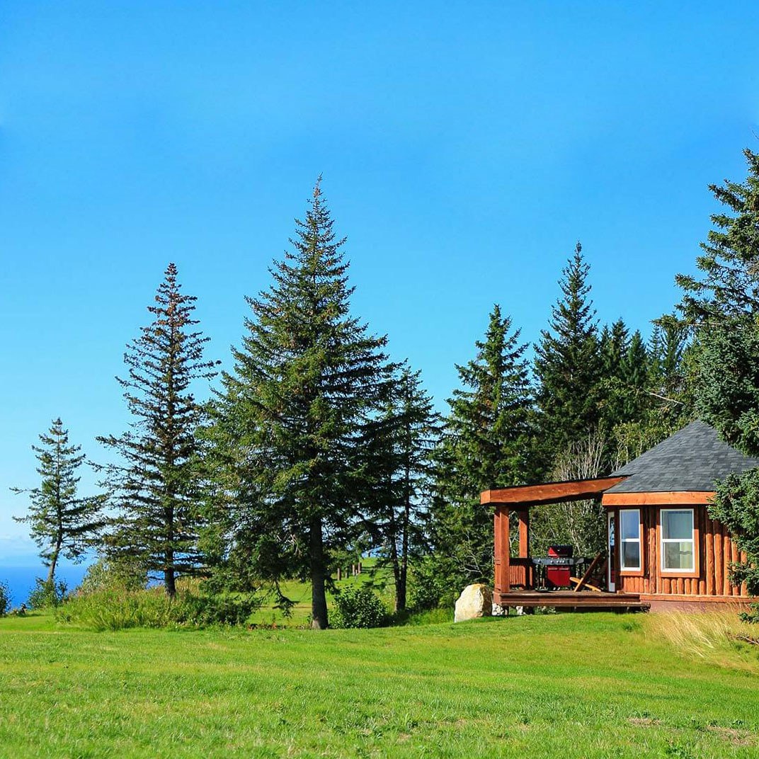 Kenai Peninsula Suites