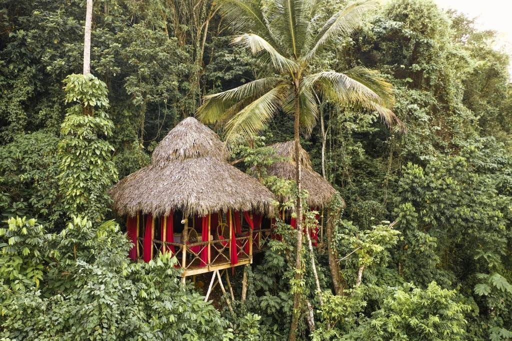 Dominican Tree House Village, Samaná, Dominican Republic