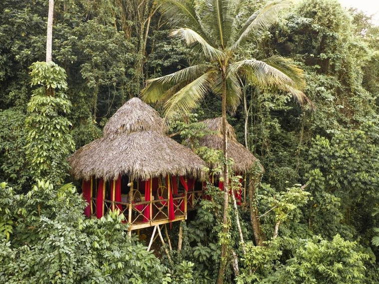 Dominican Tree House Village, Samaná, Dominican Republic
