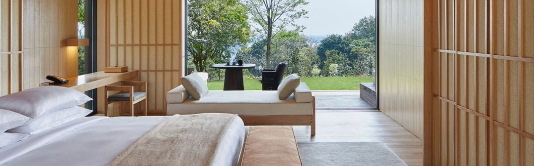 Amanemu