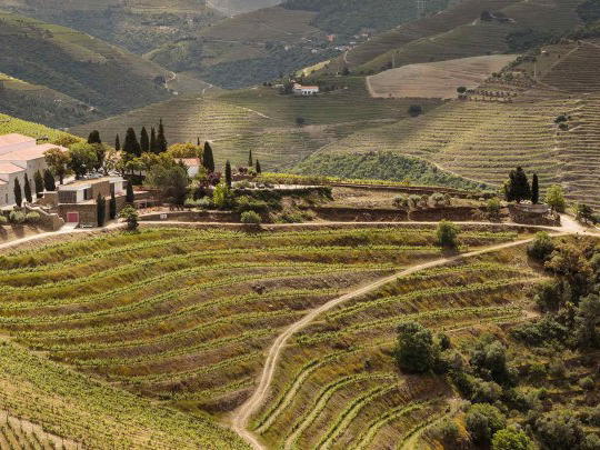 Quinta Nova de Nossa Senhora do Carmo, Sabrosa, Portugal
