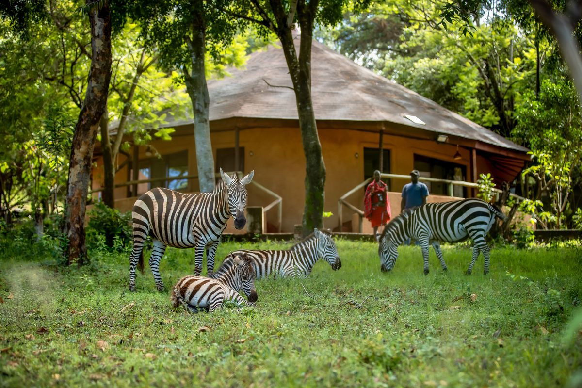 Masai Mara Sopa Lodge, Hotel in Maasai Mara National Reserve