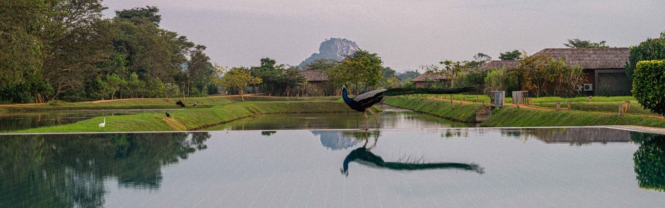 Water Garden Sigiriya, Sigiriya, Sri Lanka