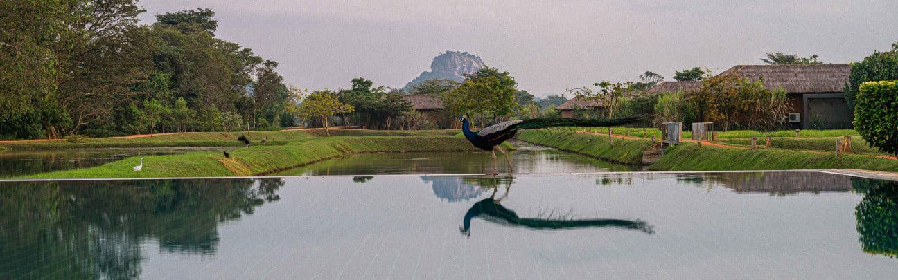 Water Garden Sigiriya, Hotel in Sigiriya