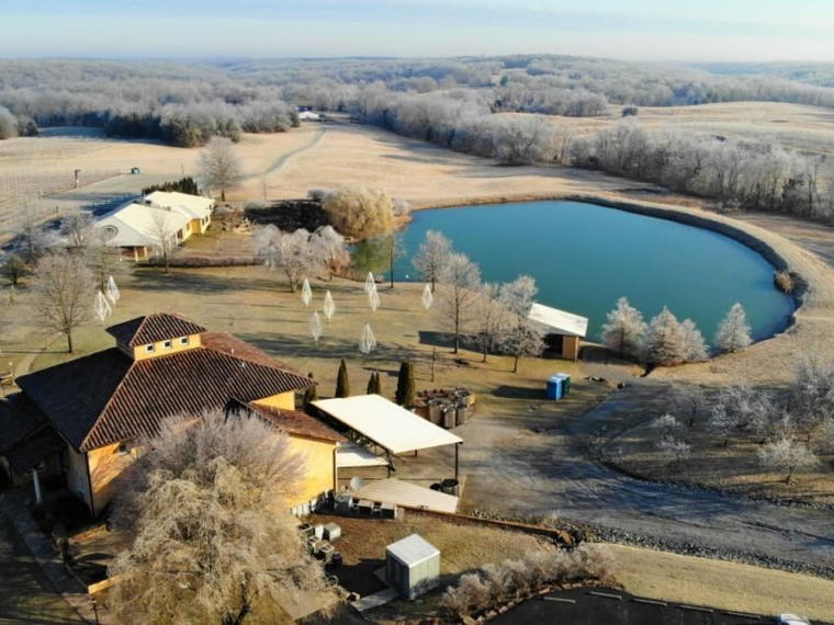 Blue Sky Vineyard, Lick Creek, United States