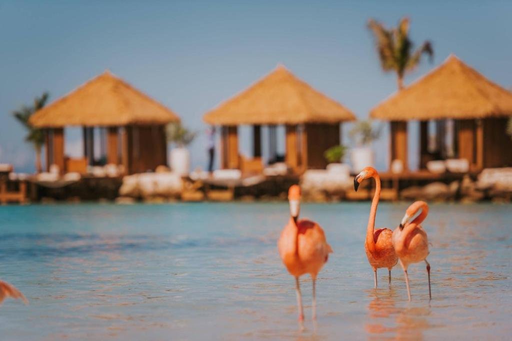 Renaissance Wind Creek Aruba Resort, Oranjestad, Aruba