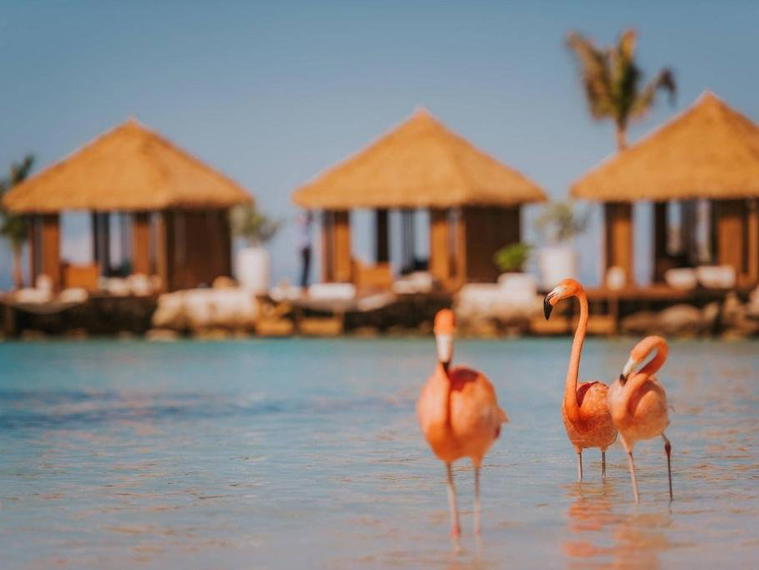 Renaissance Wind Creek Aruba Resort, Oranjestad, Aruba