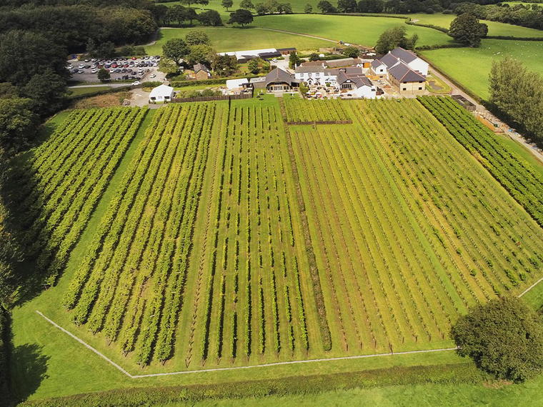Llanerch Vineyard Hotel, Pontyclun, United Kingdom