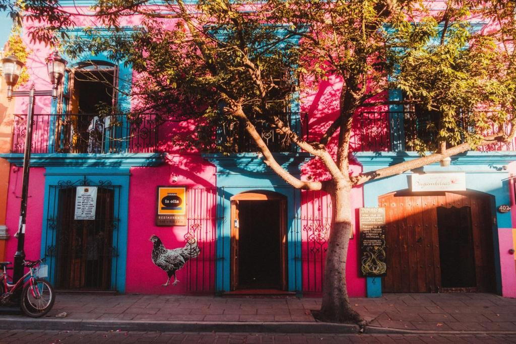 Casa de las Bugambilias B&B, Oaxaca City, Mexico