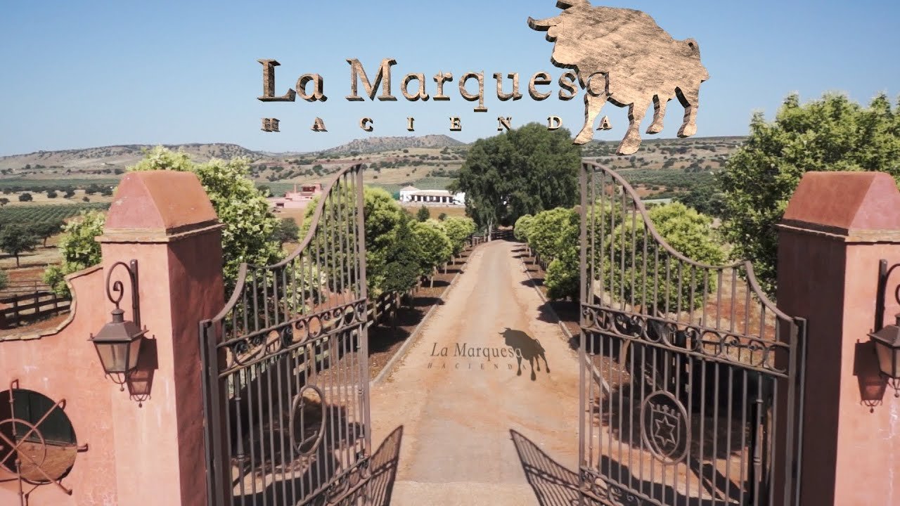 Hacienda La Marquesa, Vilches, Spain