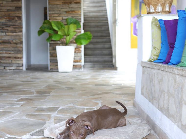 Casa Cool Beans, Rio de Janeiro, Brazil