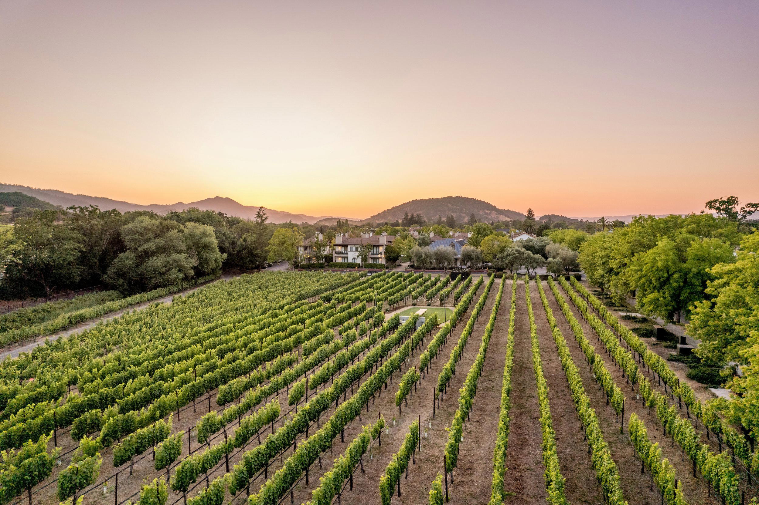 The Estate Yountville hotel in Yountville