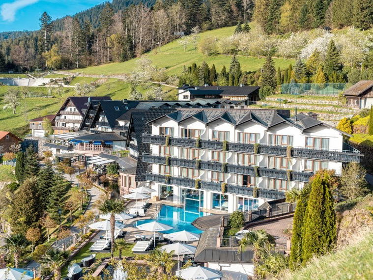 Hotel Dollenberg, Bad Peterstal, Germany