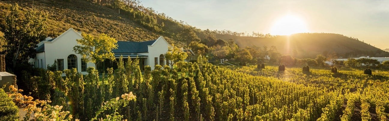 Leeu Estates