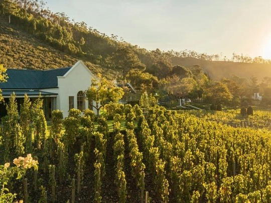 Leeu Estates, Franschhoek, South Africa