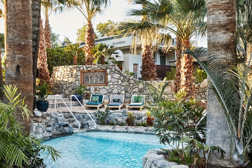 Two Bunch Palms
