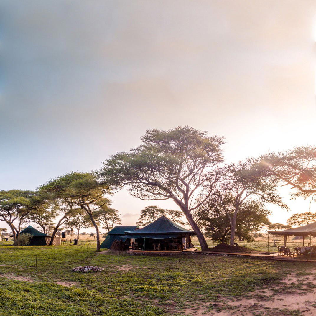 Honeyguide Tented Safari Camps hotel in Kruger National Park, South Africa
