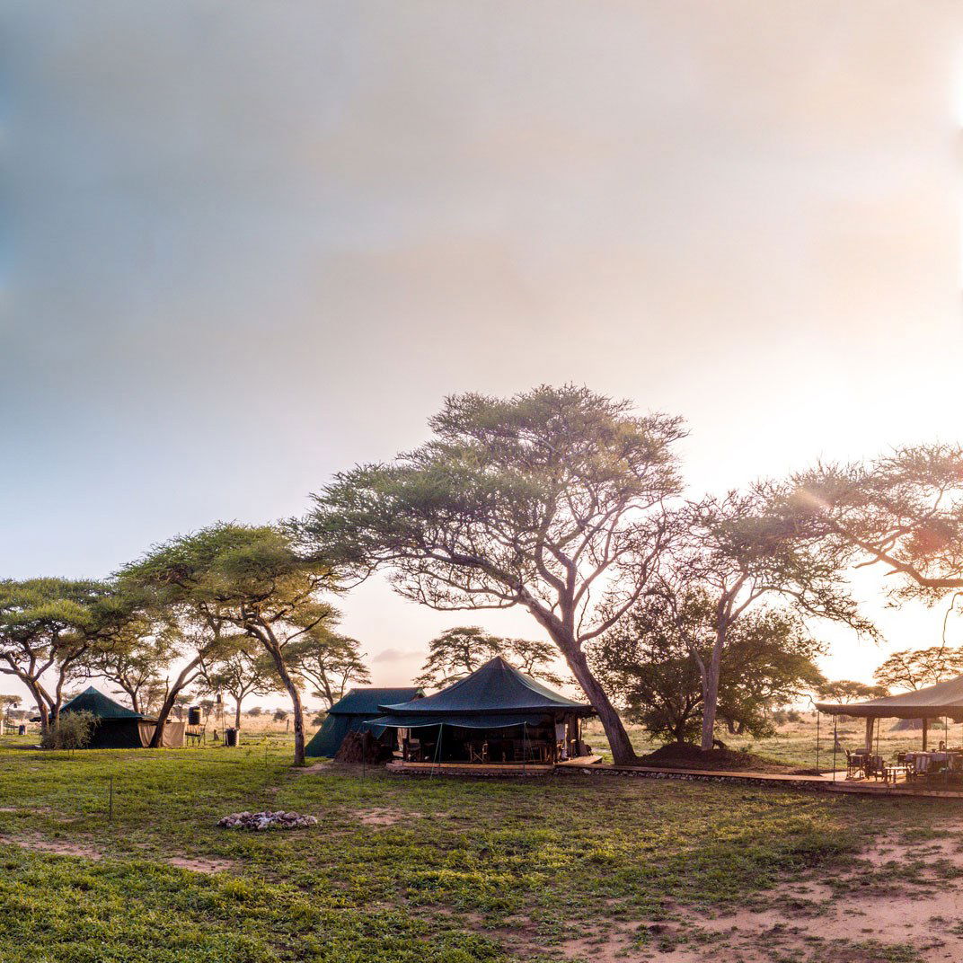 Honeyguide Tented Safari Camps, Hotel in Kruger National Park