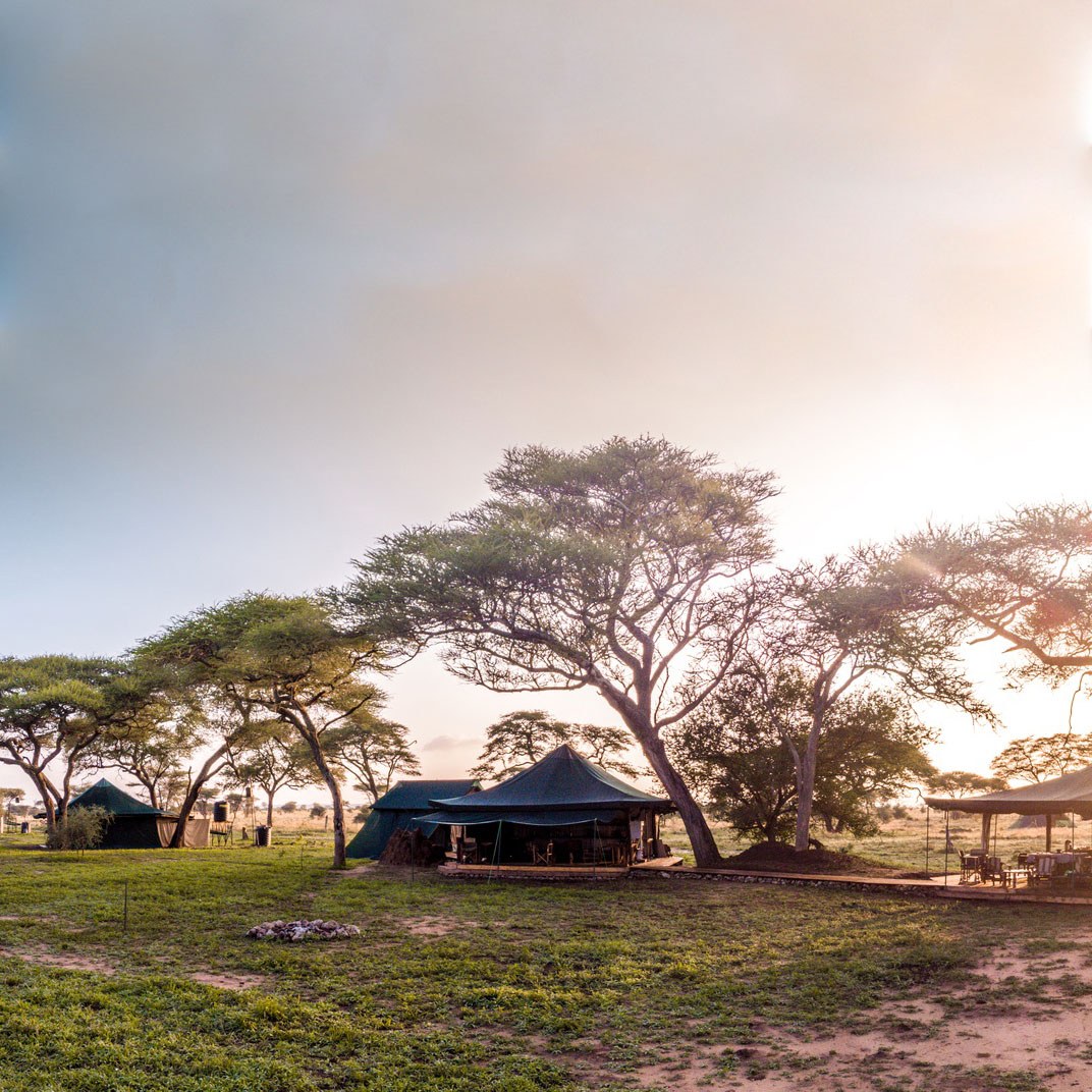 Honeyguide Tented Safari Camps