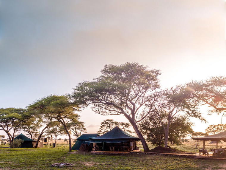 Honeyguide Tented Safari Camps, Kruger National Park, South Africa