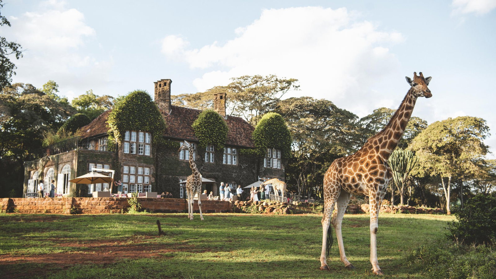 Giraffe Manor, Nairobi, Kenya